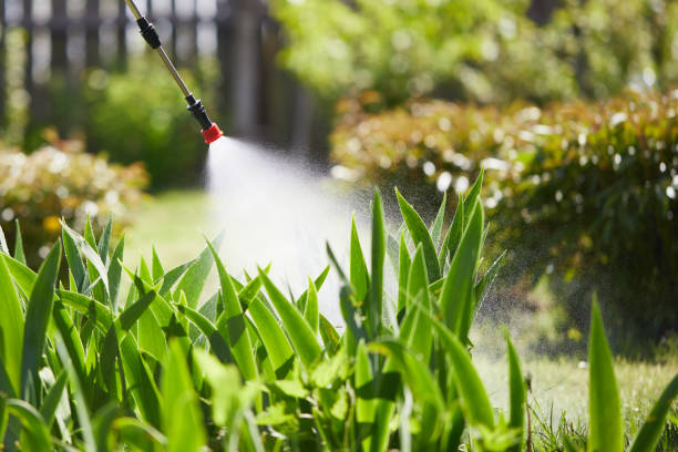 24/7 Emergency Cockroach Control experts in Baxley, GA