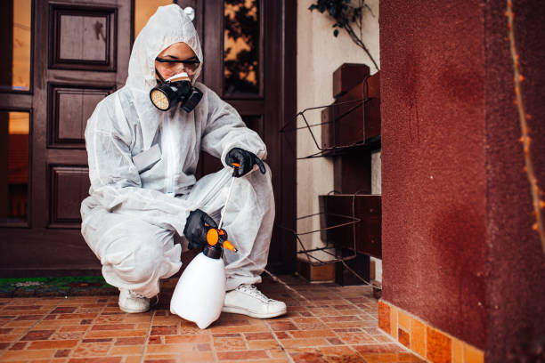 Reliable Cockroach Control contractor in Baxley, GA by Nex Pest Control