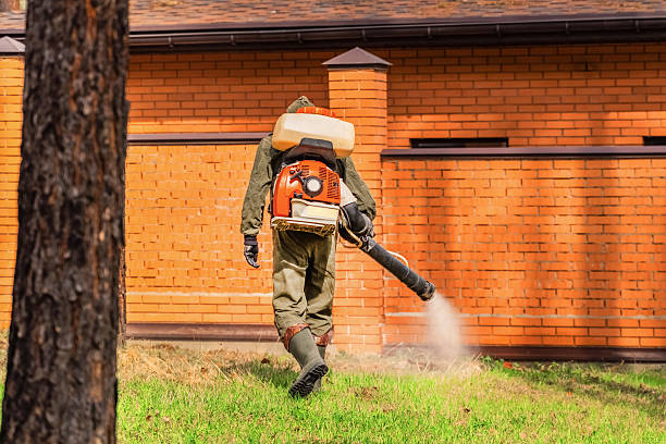 Top rated local Cockroach Control specialists in Baxley, GA